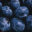 blueberries